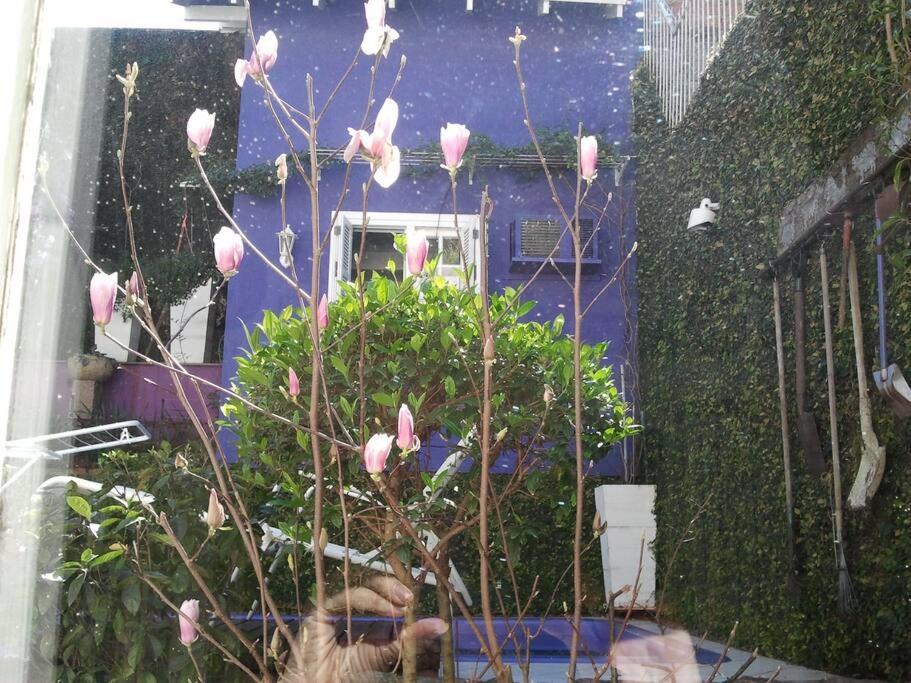 Morada Das Flores 포르투알레그리 외부 사진